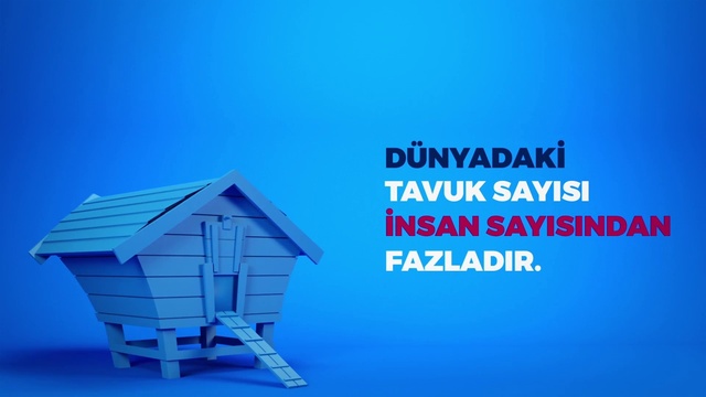 Video Reference: Blue, Product, Water, House, Font, Real estate, Architecture, Graphics, Logo, Shed