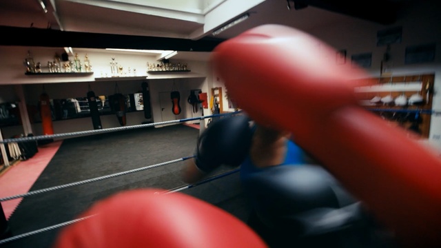 Video Reference: Boxing, Boxing glove, Sport venue, Boxing ring, Boxing equipment, Physical fitness, Room, Swiss ball, Punch, Striking combat sports