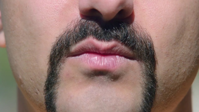 Video Reference: Facial hair, Hair, Beard, Face, Moustache, Nose, Lip, Eyebrow, Chin, Cheek