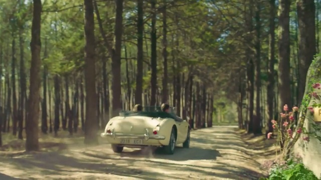 Video Reference: Land vehicle, Vehicle, Car, Coupé, Tree, Classic car, Sports car, Classic, Plant, Woodland