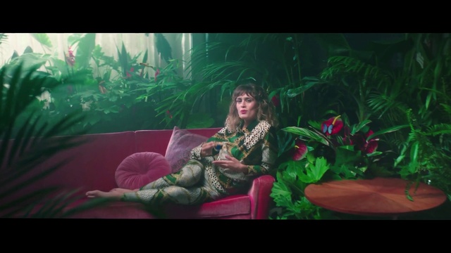 Video Reference: Plant, Nature, Organism, Lighting, Entertainment, Art, Performing arts, Couch, Adaptation, Grass