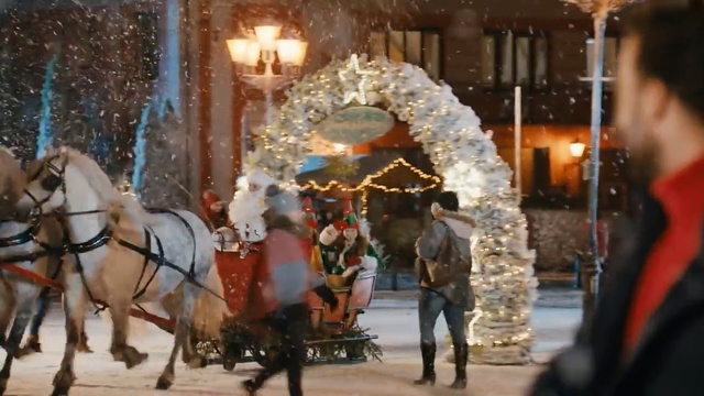 Video Reference: Carriage, Winter, Christmas, Christmas decoration, Horse, Tradition, Snow, Pack animal, Horse harness, Interior design, Person