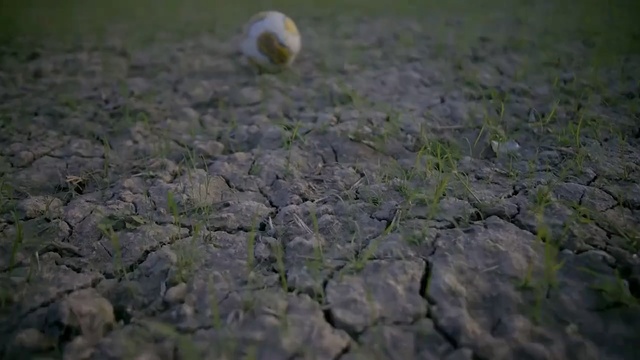 Video Reference: grass, soil, field, rock, atmosphere, biome, landscape, sky, grass family, earth