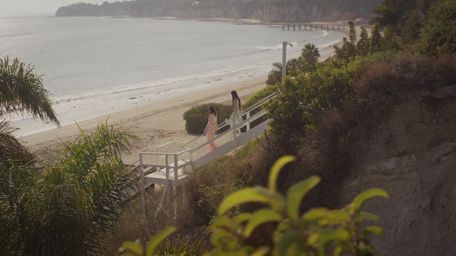 Video Reference: coast, shore, sea, water, terrain, plant, beach, tree, sky, grass
