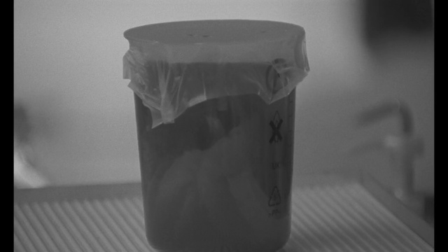 Video Reference: container, vessel, cup, drink, glass, bucket