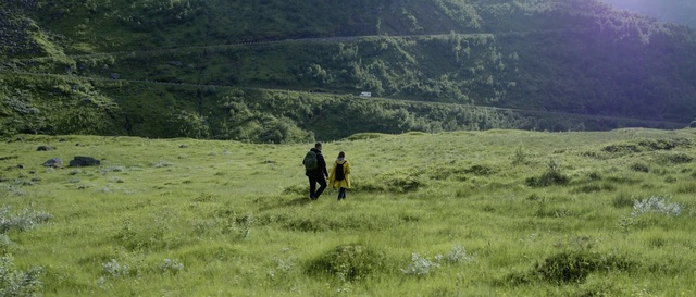 Video Reference: Pasture, Grassland, Natural environment, Meadow, Grass, Hill, Ecoregion, Highland, Prairie, Rural area