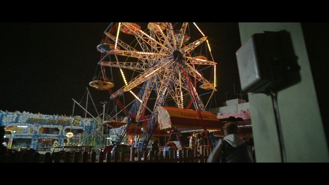 Video Reference: ferris wheel, amusement park, amusement ride, tourist attraction, fair, recreation, fun, night, festival, park