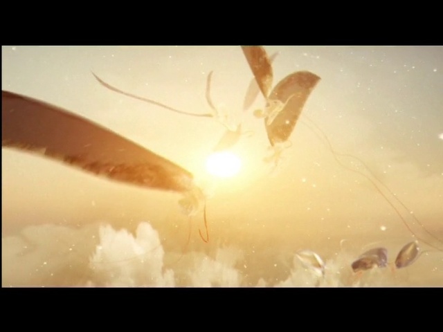 Video Reference: Sky, Cloud, Sunlight, Photography, Macro photography, Space, Heat