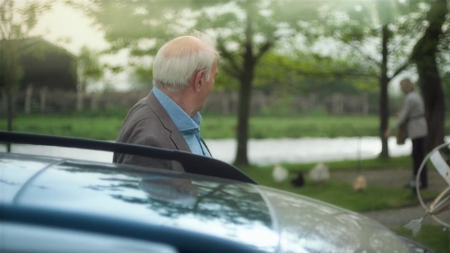 Video Reference: car, land vehicle, motor vehicle, vehicle, green, family car, plant, tree, vehicle door, water