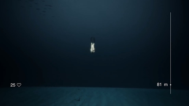 Video Reference: underwater, atmosphere, light, water, sky, darkness, screenshot, freediving, computer wallpaper, sea