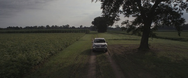 Video Reference: road, car, field, mode of transport, vehicle, tree, sky, grass, rural area, morning