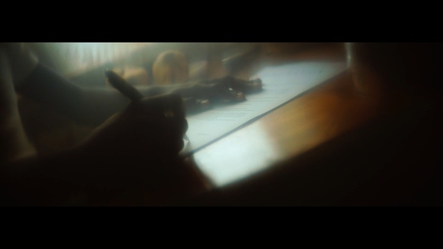 Video Reference: Black, Light, Darkness, Brown, Sky, Shadow, Photography, Hand, Room, Lens flare, Dark, Laptop, Computer, Looking, Sitting, Screen, Monitor, Table, Desk, Cat, Television, Keyboard, Large, Bird, Laying, Blurry, Aquarium, Animal, Swimming, Marine mammal, Image, Domestic cat, Blur