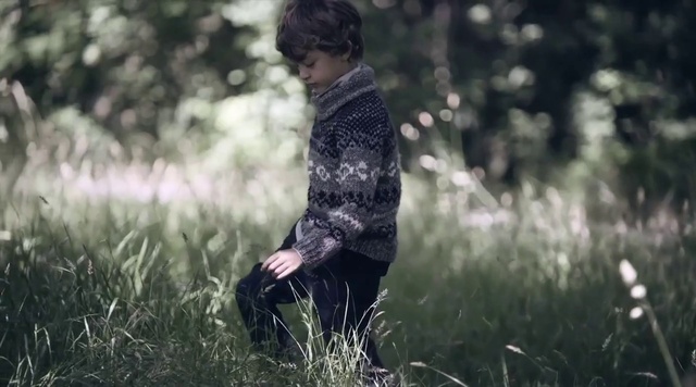 Video Reference: People in nature, Grass, Grass family, Photography, Tree, Plant, Child, Adaptation, Sunlight, Meadow