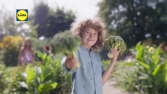 Video Reference: Plant, Botany, Adaptation, Spring, Smile, Tree, Farm, Flower, Vegetable, Happy