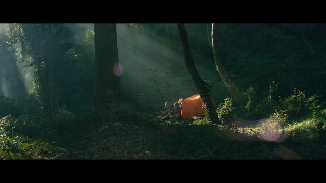 Video Reference: Nature, Green, Underwater, Organism, Screenshot, Landscape, Atmosphere, Digital compositing, Darkness, Sunlight, Grass, Sitting, Fire, Photo, Field, Hydrant, Red, Small, Ball, Street, Standing, Grassy, White, Laying, Yellow, Holding, Rain, Cat, Room, Blue, Bus, Man, Aquarium, Animal