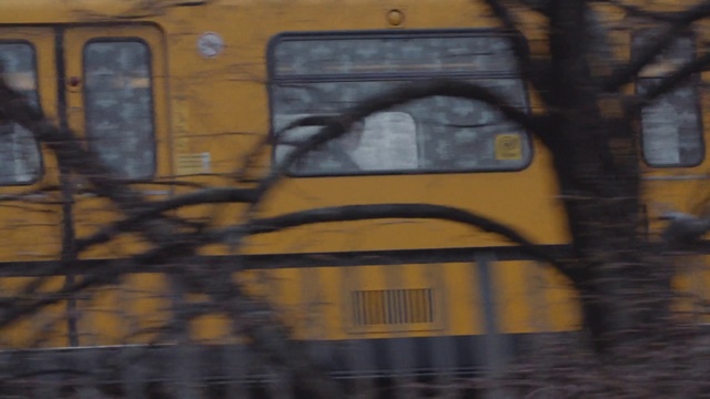 Video Reference: Yellow, Tree, Art, Visual arts, Vehicle, Tints and shades, Painting