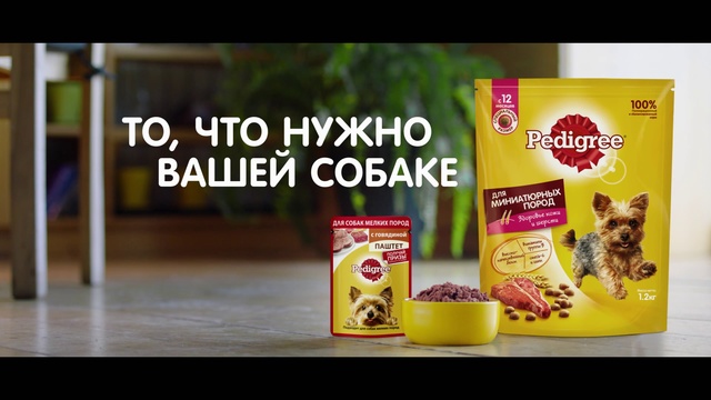 Video Reference: Food, Pet food, Cat food, Cat supply