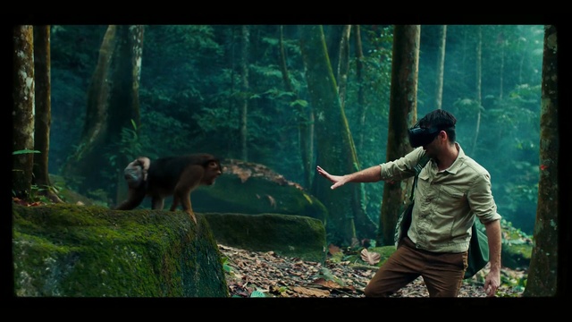 Video Reference: green, nature, mammal, vertebrate, tree, forest, jungle, darkness, screenshot, plant