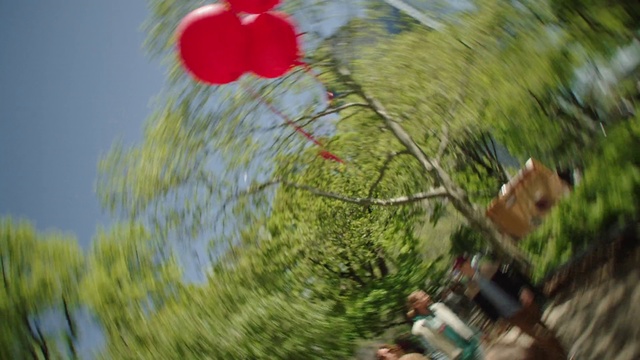 Video Reference: Tree, Balloon, Leaf, Spring, Organism, Plant, Grass, Photography, World, Wildflower, Outdoor, Bird, Blurry, Sitting, Red, Man, Street, Parrot, Holding, Green, Standing, Yellow, Phone, Riding, Sign, Flower