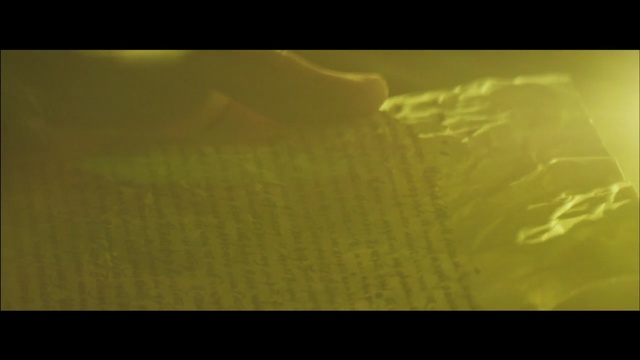 Video Reference: green, yellow, atmosphere, ecosystem, text, light, macro photography, close up, morning, sunlight