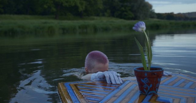 Video Reference: Water, Botany, Reflection, Grass family, Pond, Child, Plant, Lake, Grass, Tree
