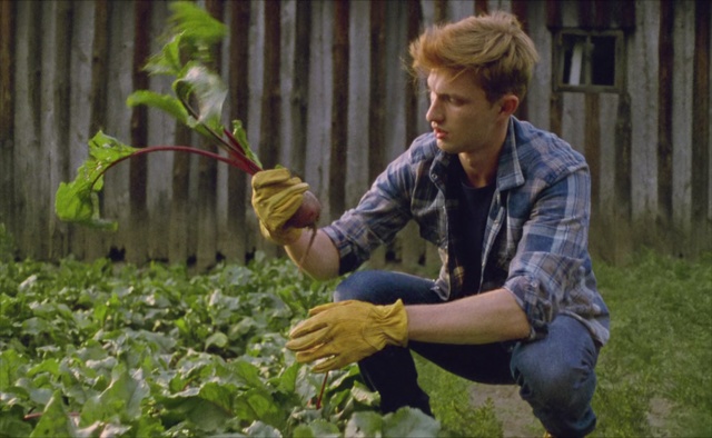 Video Reference: Gardener, Plant, Botany, Adaptation, Gardening, Cash crop, Farmworker, Flower, Crop, Farmer