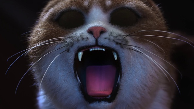 Video Reference: Mammal, Whiskers, Tooth, Cat, Nose, Felidae, Snout, Facial expression, Yawn, Tongue