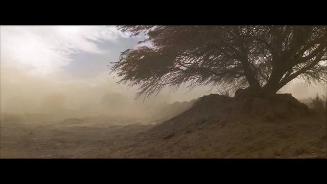Video Reference: Nature, Sky, Atmospheric phenomenon, Tree, Morning, Atmosphere, Cloud, Mist, Landscape, Sunlight