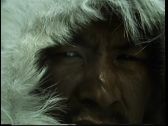 Video Reference: face, nose, facial expression, mammal, vertebrate, facial hair, eye, eyebrow, fur, head