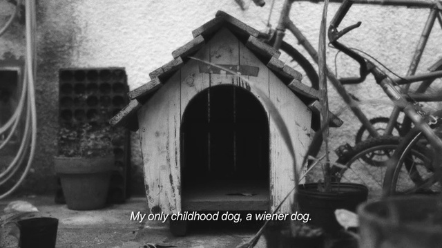 Video Reference: Arch, Architecture, Black-and-white, Monochrome photography, Building, Monochrome, House, Room, Photography, History, Person