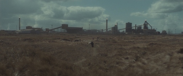 Video Reference: sky, prairie, field, rural area, ecoregion, cloud, pollution, screenshot, grass, grass family