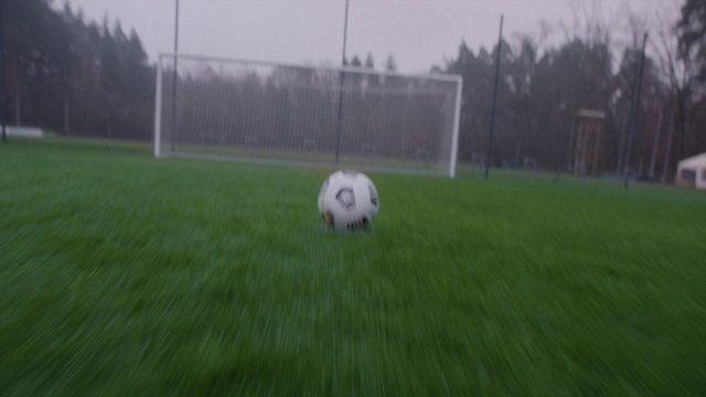 Video Reference: Plant, Sports equipment, Ball, Land lot, Football, Sky, Tree, Soccer ball, Biome, Grass