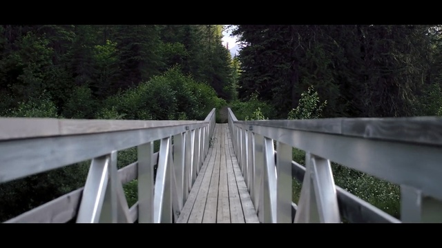 Video Reference: nature, bridge, tree, water, suspension bridge, plant, sky, fixed link, sunlight, wood