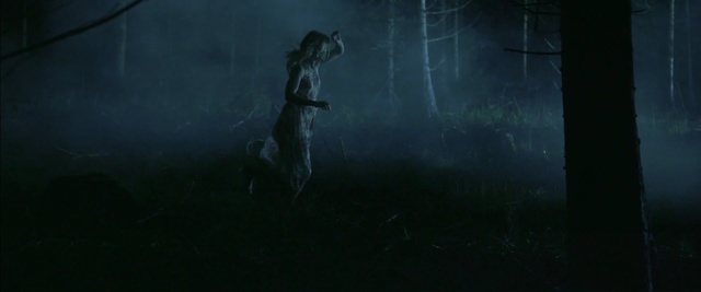 Video Reference: black, darkness, atmosphere, light, screenshot, underwater, sky, forest, midnight, computer wallpaper