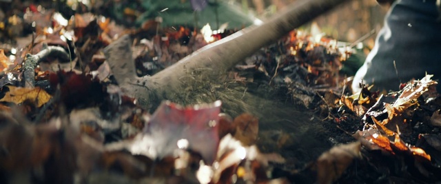 Video Reference: Leaf, Ash, Autumn