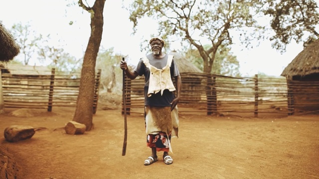 Video Reference: Fun, Tree, Adaptation, Recreation