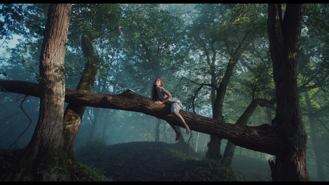 Video Reference: Tree, Nature, Natural environment, Branch, Forest, Jungle, Woody plant, Woodland, Organism, Plant, Outdoor, Man, Park, Grass, Large, Standing, Sitting, Bird, Perched, Field, Water, Young, Giraffe, Grassy, Enclosure, Board, Person, Clothing