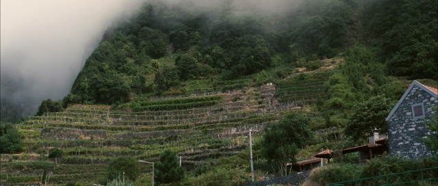 Video Reference: vegetation, hill station, nature reserve, highland, archaeological site, mountain, tourist attraction, terrace, jungle, landscape