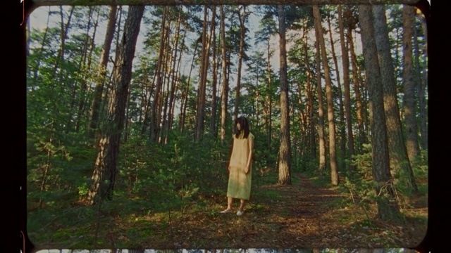Video Reference: Tree, Woodland, Forest, Nature, Natural environment, Northern hardwood forest, Tropical and subtropical coniferous forests, Nature reserve, Old-growth forest, Grove, Person