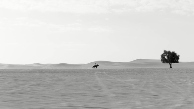 Video Reference: White, Black, Sand, Natural environment, Sky, Atmospheric phenomenon, Black-and-white, Desert, Horizon, Landscape