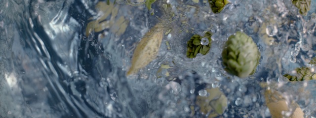 Video Reference: Water, Organism, Tree, Rock, Plant, Pond, Algae