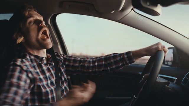 Video Reference: Vehicle door, Driving, Cool, Steering wheel, Vehicle, Car, Hand, Luxury vehicle, Automotive window part, Automotive exterior, Person