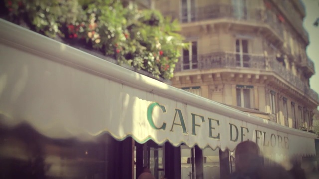 Video Reference: Leaf, Tree, Sky, Font, Building, Architecture, Window, Street, Plant, Photography, Person