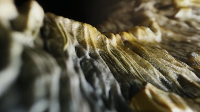 Video Reference: close up, formation, macro photography