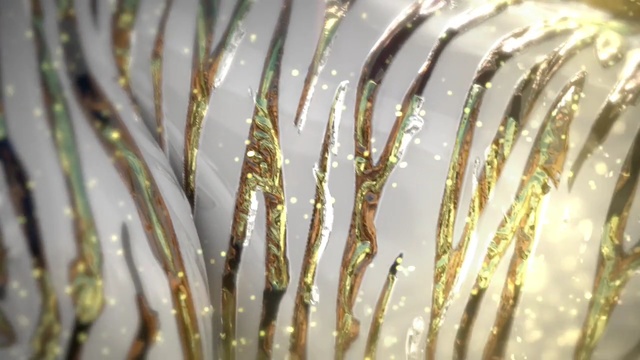 Video Reference: close up, macro photography, water, grass family, plant stem, twig, moisture, organism, grass, Person