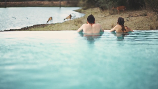 Video Reference: Swimming pool, Water, Leisure, Fun, Vacation, Bathing, Sea, Summer, Recreation, Swimming