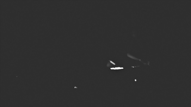 Video Reference: Black, Sky, Atmosphere, White, Nature, Atmospheric phenomenon, Monochrome photography, Light, Darkness, Black-and-white, Flying, Dark, Star, Air, Laptop, Man, Water, Large, Playing, Night, Woman, Airplane, Standing, Room, People, Plane, Jet, Field, Group, Screenshot, Black and white, Outdoor object, Night sky