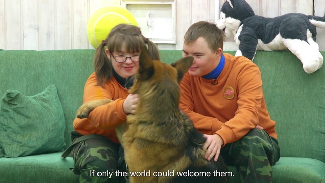 Video Reference: Canidae, Carnivore, Photo caption, Dog breed