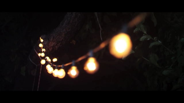 Video Reference: darkness, light, lighting, light fixture, night, street light, sky, midnight, branch, light bulb