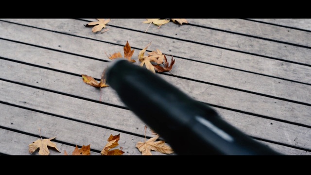 Video Reference: Leaf, Wood